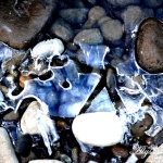 20130103154339_002-2307263448-o