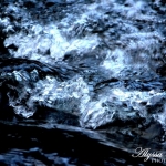 20130103161747_003-2307268449-o